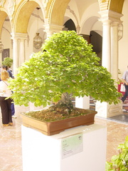 DSC06816