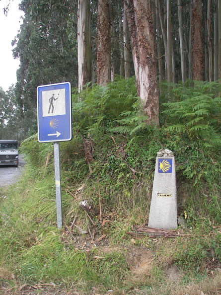 Camino Santiago 2008 296