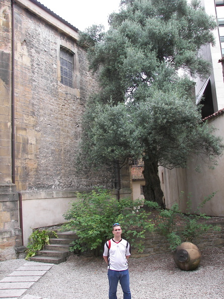 Camino Santiago 2008 034