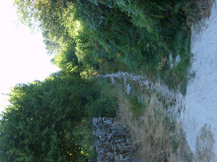 S8004829