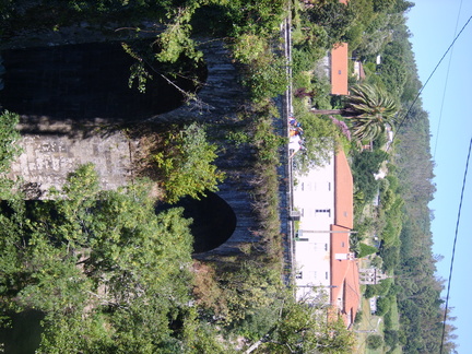 S8004839