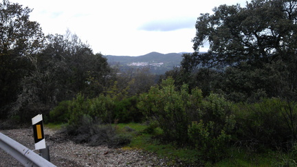 IMAG0532