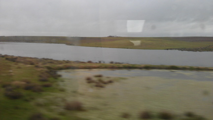 IMAG0624