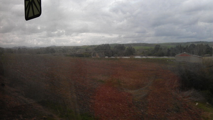 IMAG0631