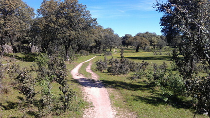 IMAG0150