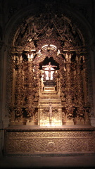 IMAG0326