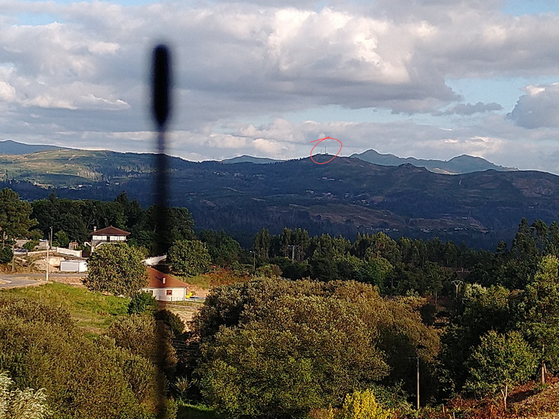 IMG 20200812 194815559 1