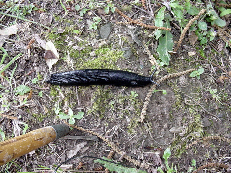 Camino Ingles 044 exposure