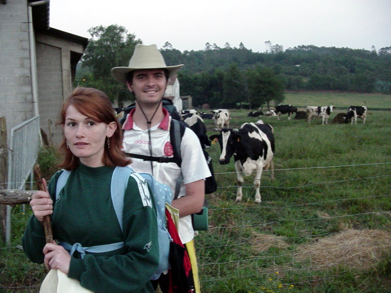 Camino Ingles 114 exposure