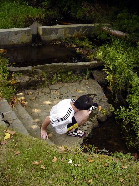 Camino Ingles 149 exposure