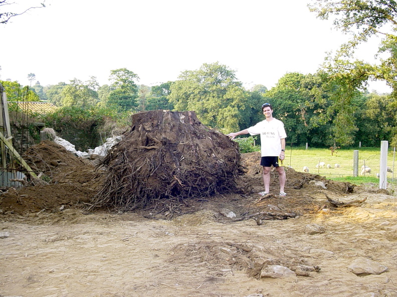 Camino Ingles 182 exposure