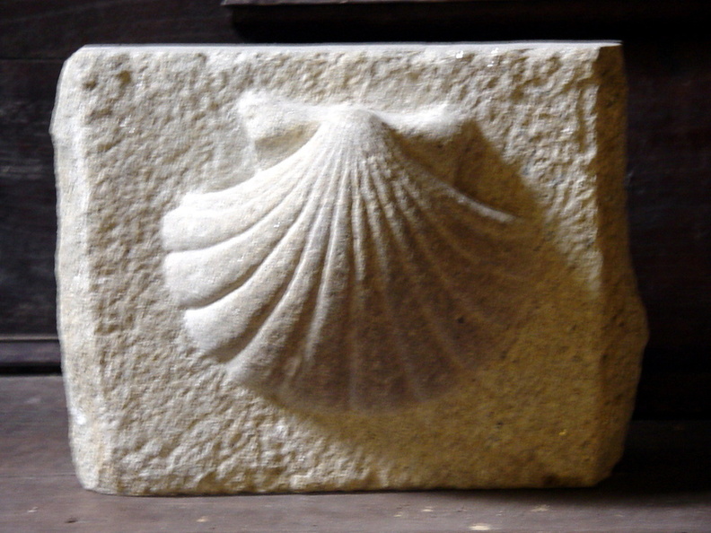 Camino Ingles 254 exposure