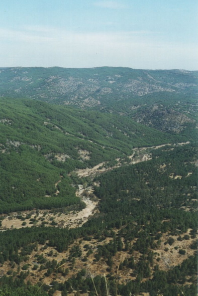 cardenha-arroyo arenosillo