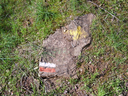 s8001056