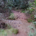 Foto0177