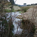 Foto0183