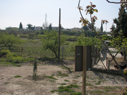 100 9041