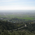 IMG 3665