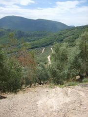 S8000158
