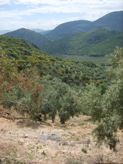 S8000159