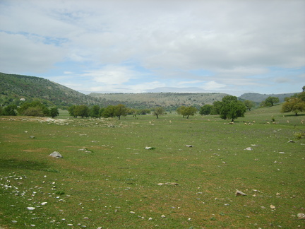 S8000165