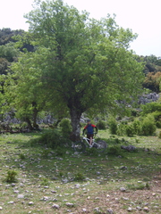 S8000166