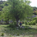 S8000166