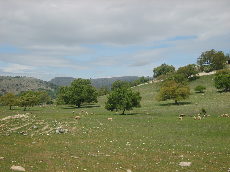 S8000169.JPG