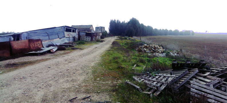 IMG 20111210 112858-IMG 20111210 112905