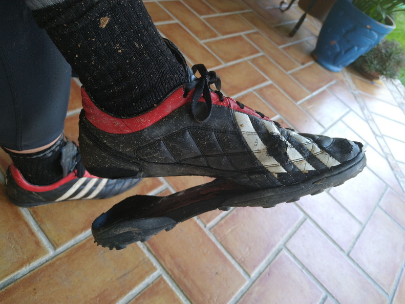 IMG 20210606 115005552