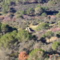 IMAG0336
