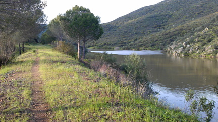 IMAG0641