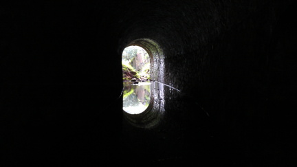 IMAG0642