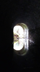 IMAG0643