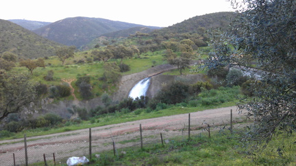 IMAG0646