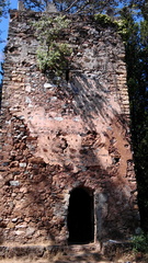 IMAG0931