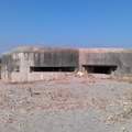 IMAG0628