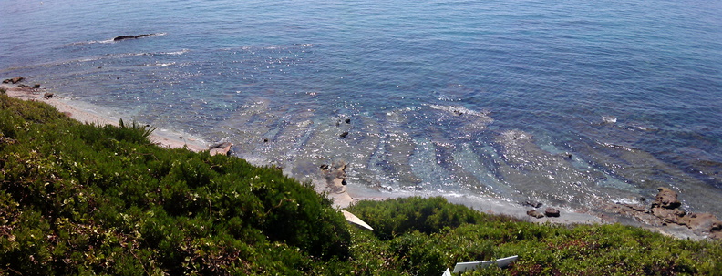IMAG0634.jpg