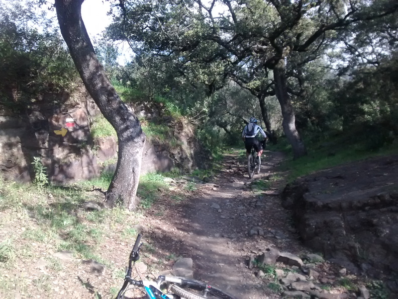 IMG 20160403 105901831