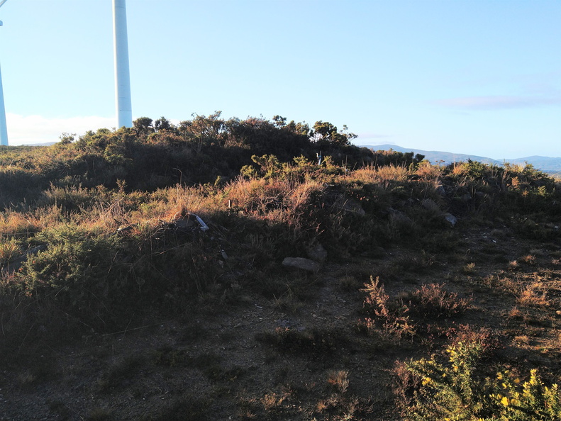 IMG 20201224 103602963 1