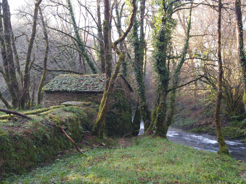 IMG 20201224 112722502