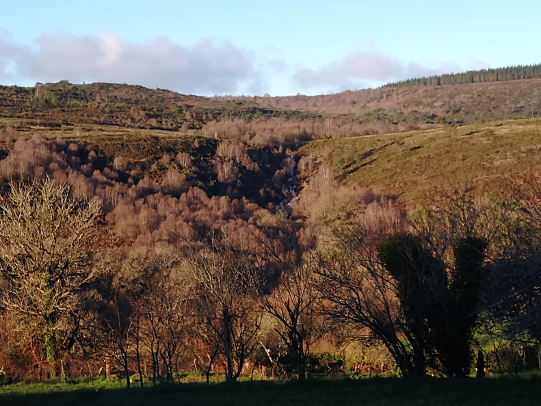 IMG 20201225 101045820