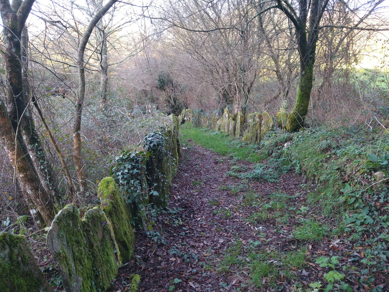 IMG 20201225 101832720