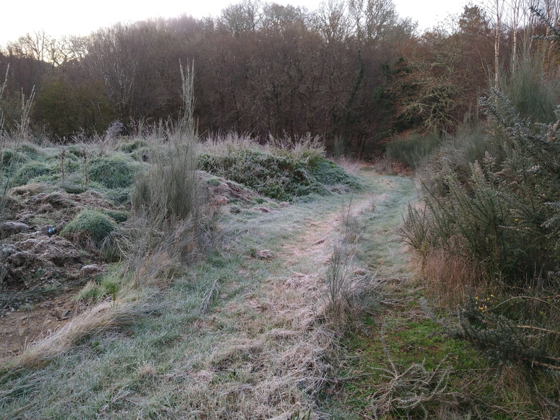 IMG 20201128 085437548