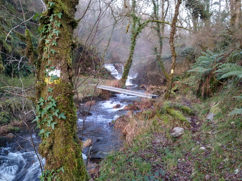 IMG 20201128 090226213 HDR