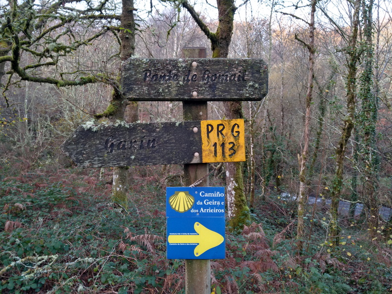 IMG 20201128 091214977 HDR