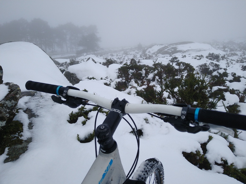 IMG 20201206 102837526