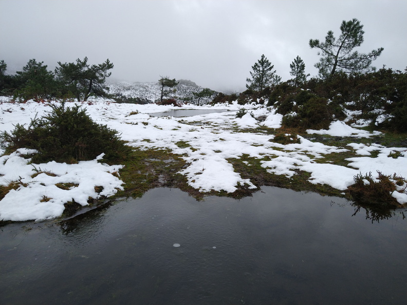 IMG 20201206 104524576