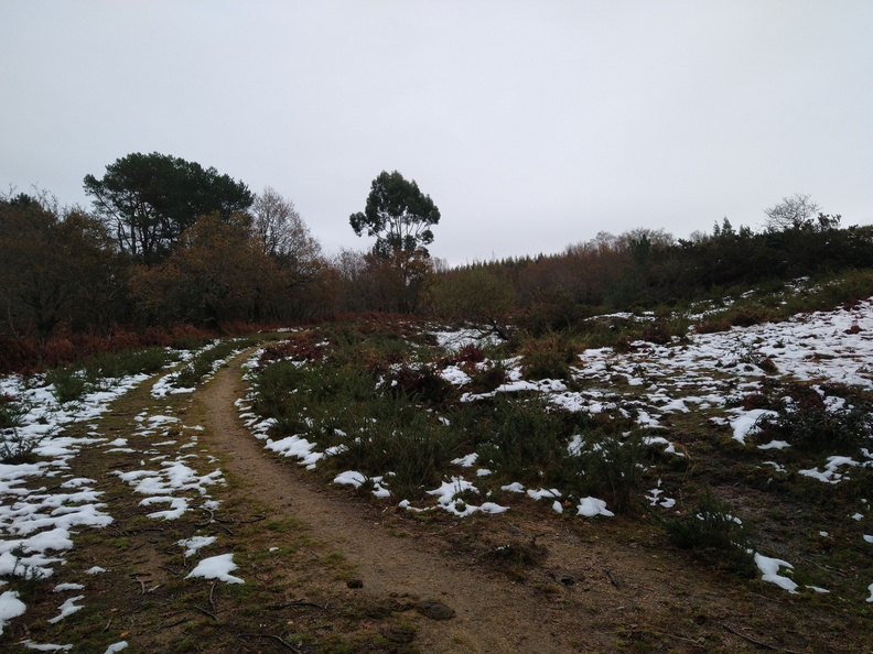 IMG 20201206 111752482