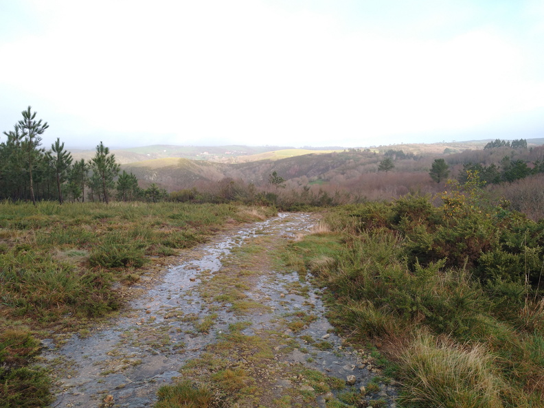 IMG 20201212 101254118